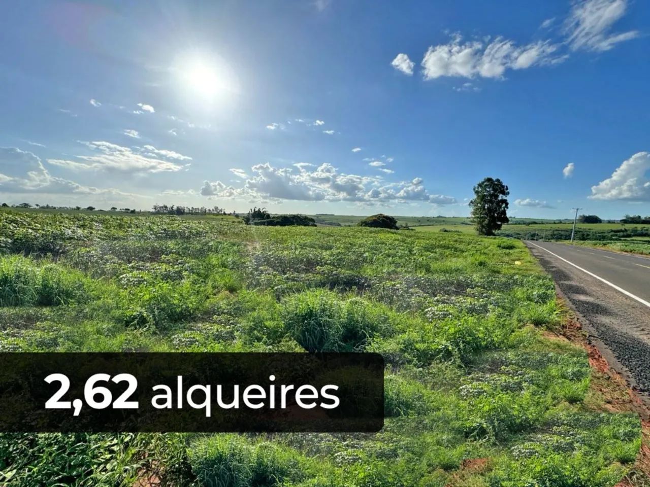 SITIO DE 2,62 ALQUEIRES - TUNEIRAS D* OESTE- PR - Foto 2