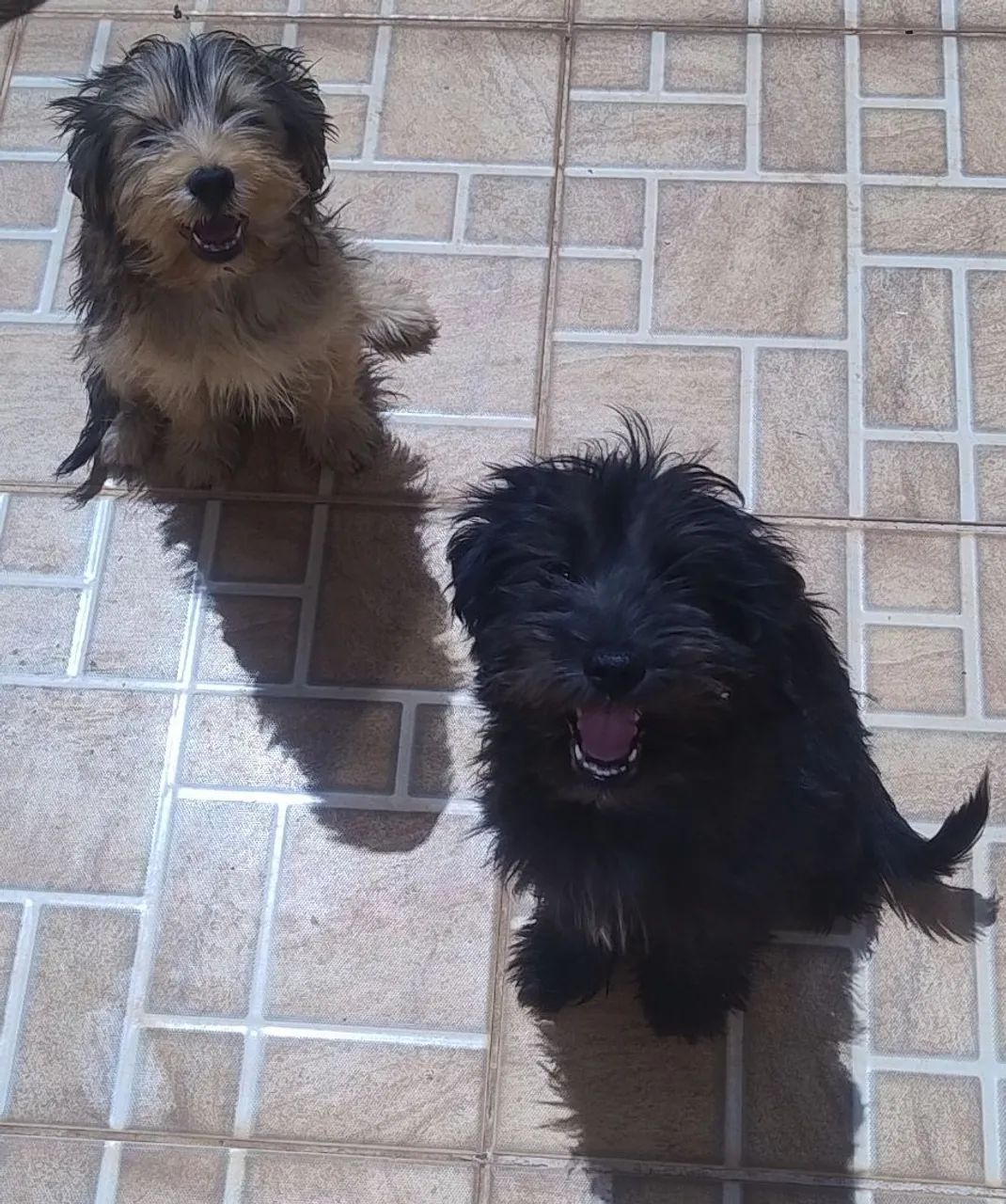 Doação  - Foto 2