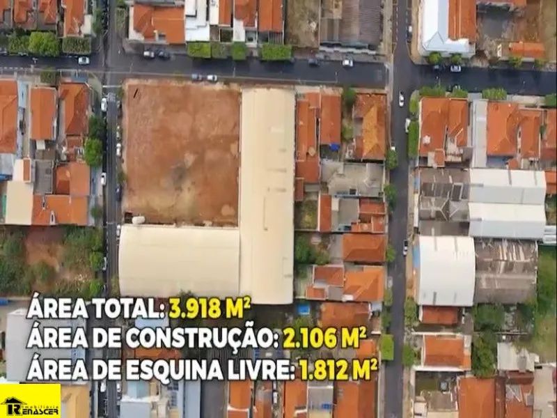 BARRACAO COMERCIAL em MIRASSOL - SP, CENTRO - Foto 3