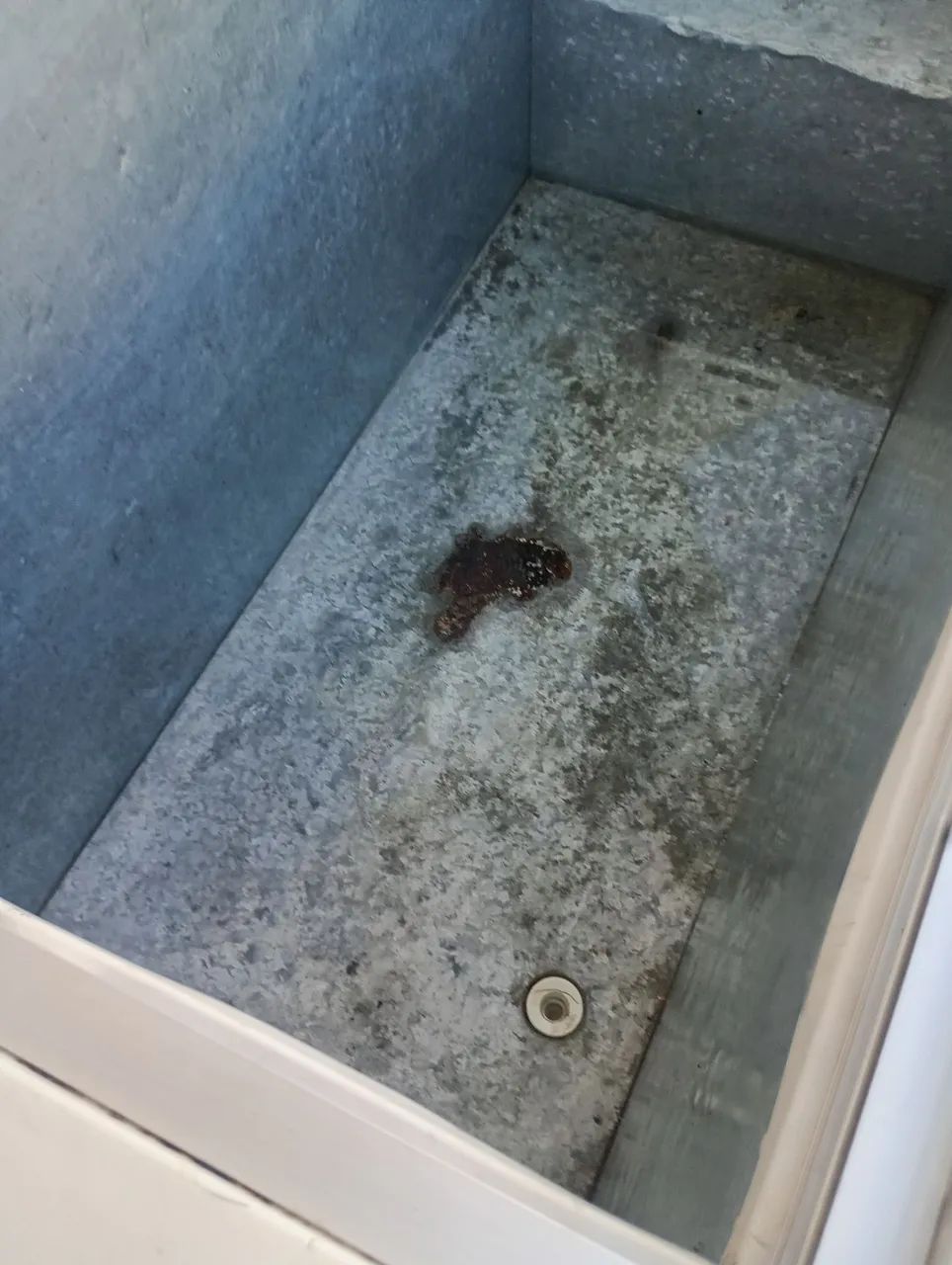 Freezer  - Foto 5