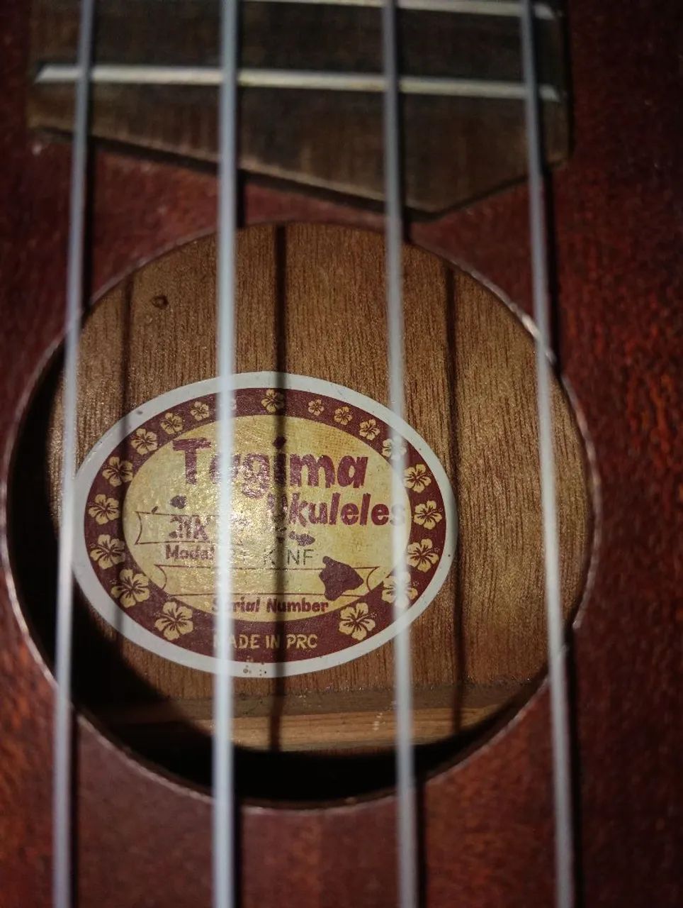 Ukulele tagima  - Foto 3