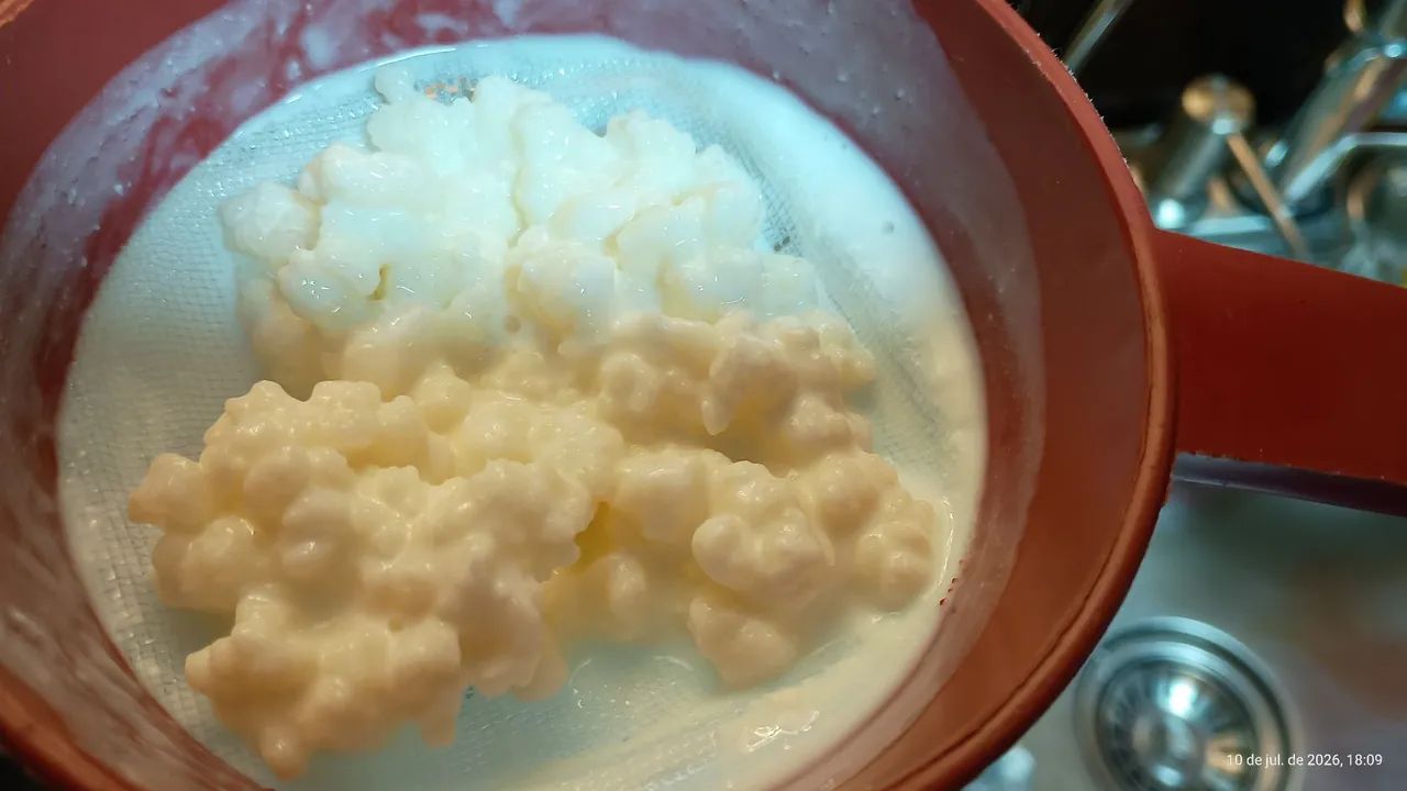 DOA-SE KEFIR DE LEITE ?