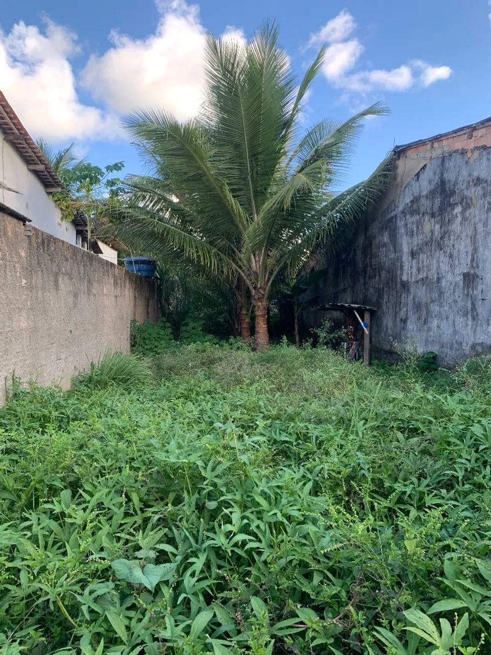 Terreno 5,8m x 26m - Foto 2