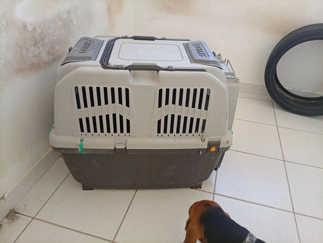 Caixa transporte de cachorro usada bom estado da andar em carro  - Foto 2
