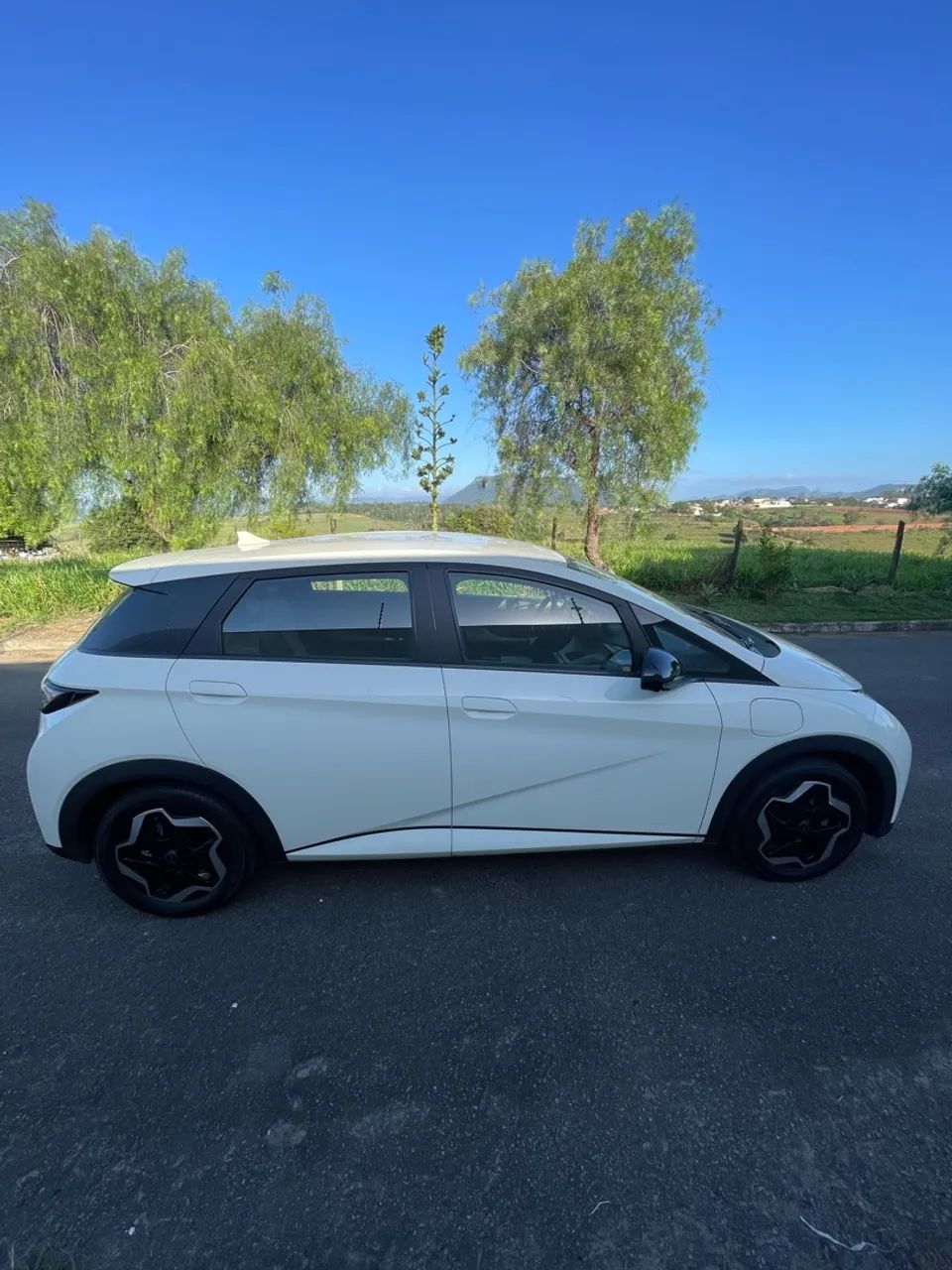BYD Dolphin EV (Elétrico) 2024 - Foto 3