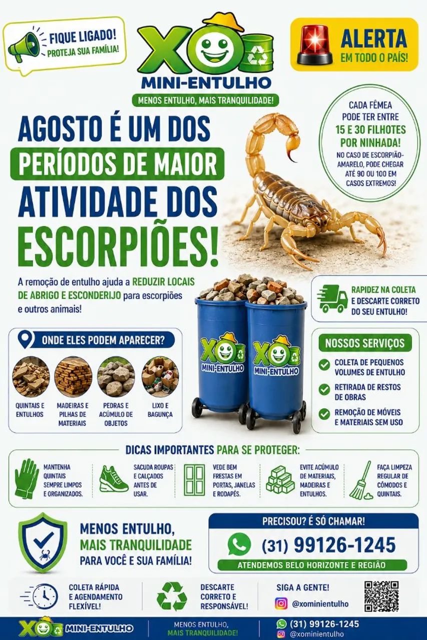Xô Mini-Entulho | Retirada de Pequenos Volumes de Entulho - Foto 2