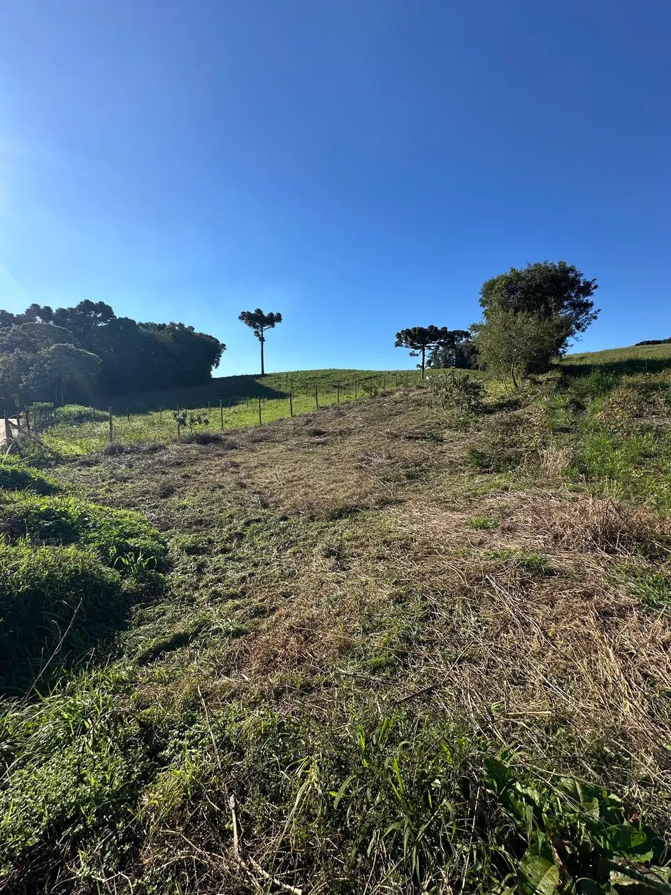 Terreno em contenda