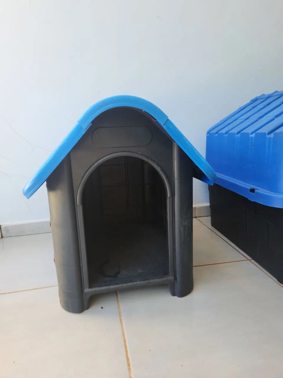 CASINHAS DE CACHORRO - Foto 4
