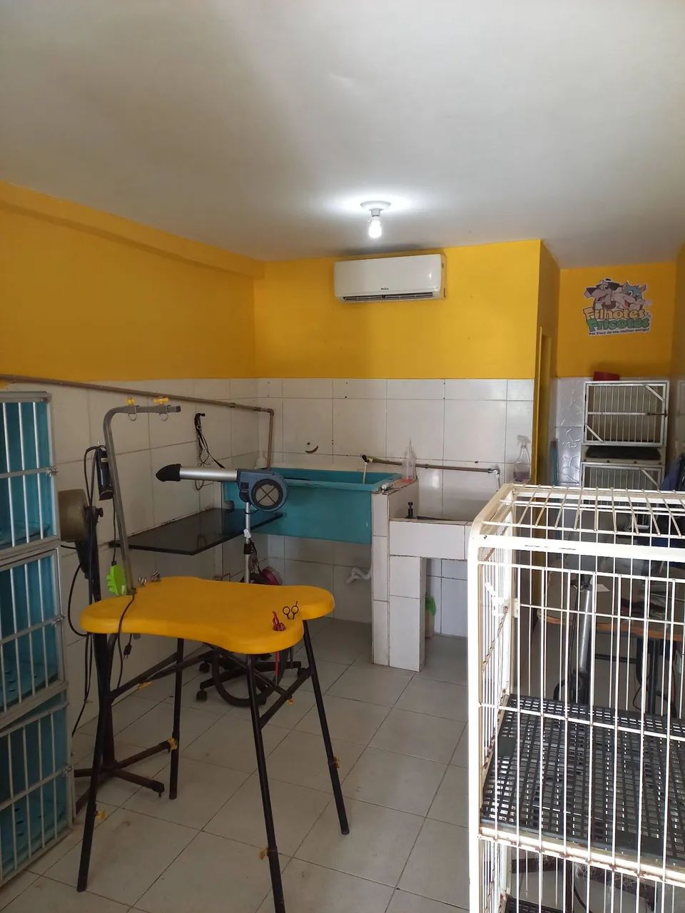 Repasso Pet Shop no bairro do Bessa  - Foto 4