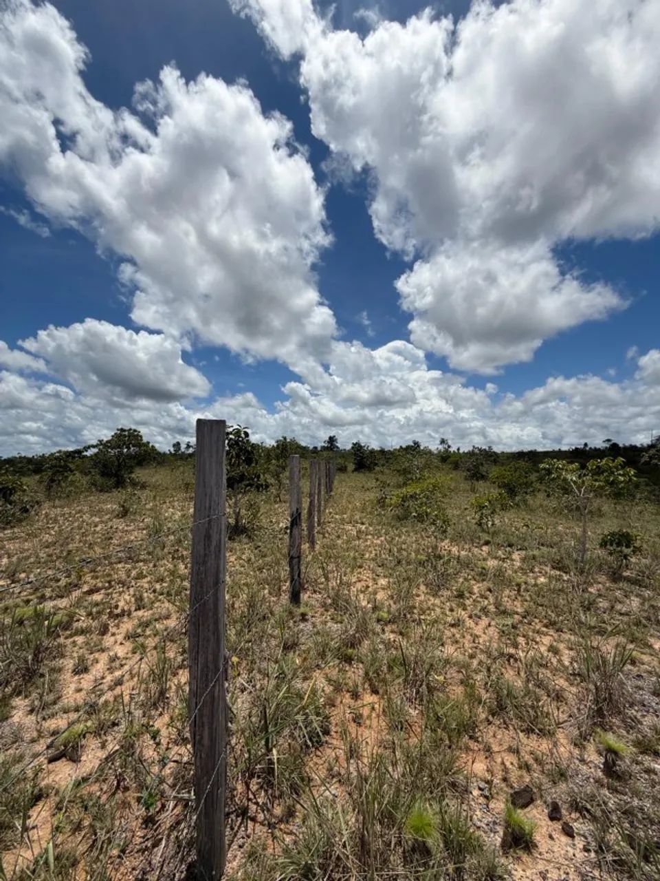 Vendo Sítio á 35 km de Santana na localidade Maçaranduba II - Foto 5
