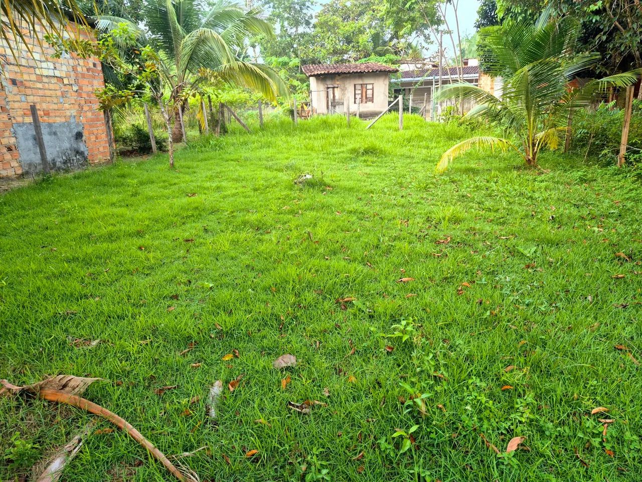 Terreno em Cotijuba - Vai quem quer - Foto 2