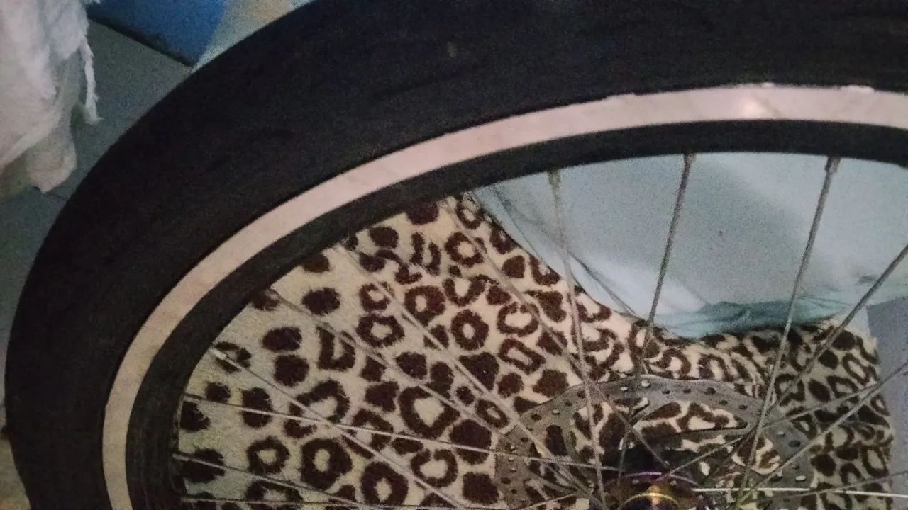 Peça de bike par roda pro 4  - Foto 2