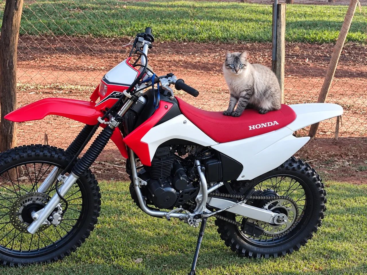 CRF 230 ano 2013