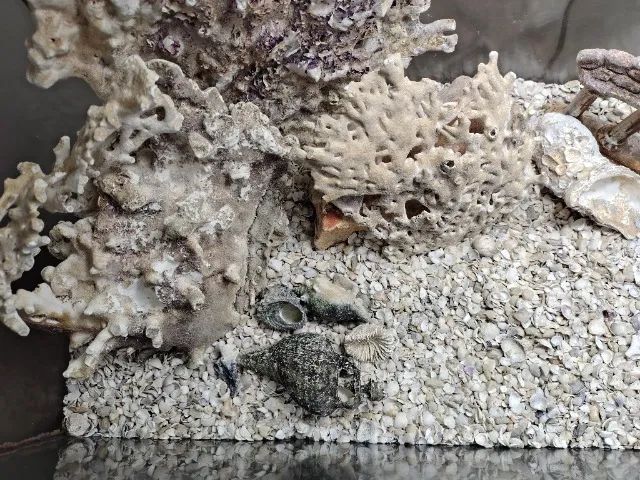 Móvel Aquário  - Foto 5