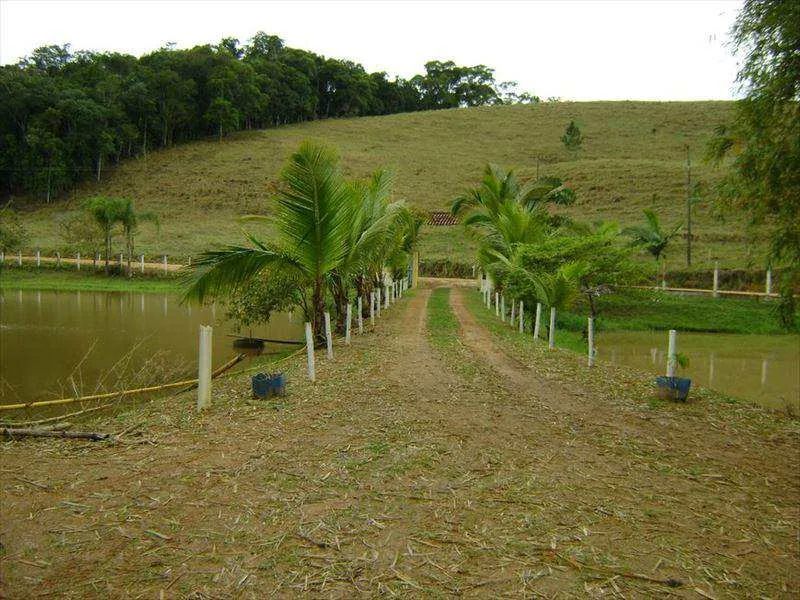 Fazenda em Sete Barras bairro Centro - Foto 3