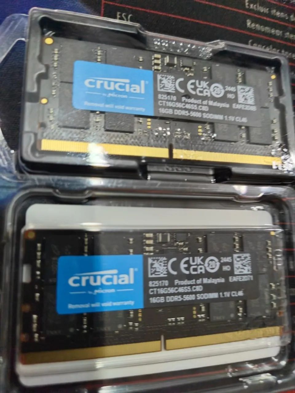 Memória Crucial 32GB DDR5 5600MHz novas 2x16 - Memória RAM - CECAP