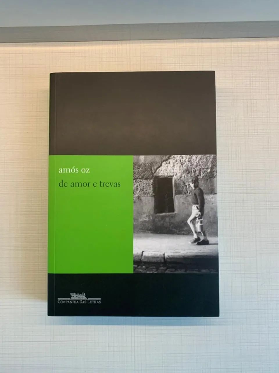 Livro de Amor e Trevas de Amós Oz