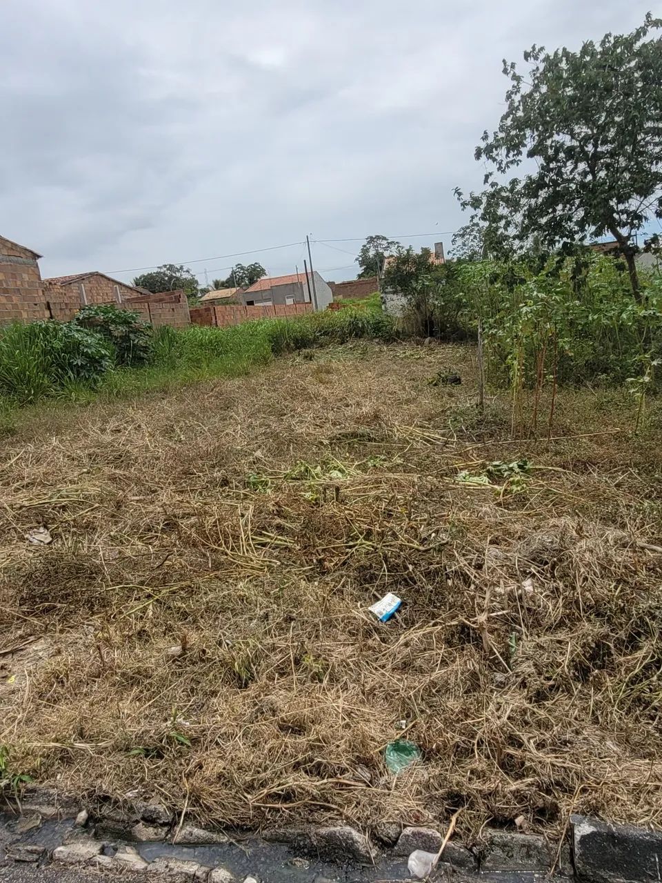 Terreno dentro da cidade  - Foto 3