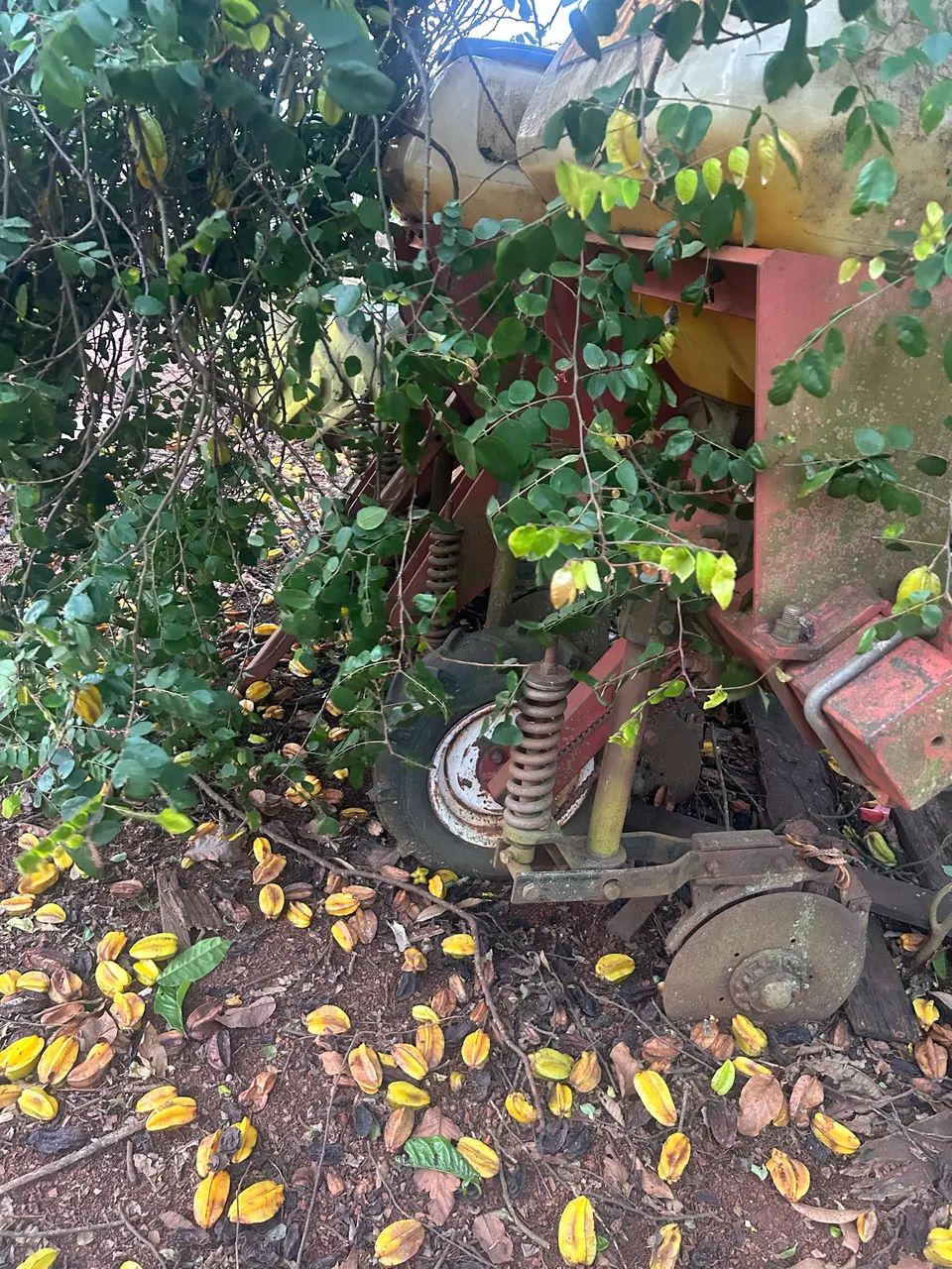 Adubadeira 4 linhas  - Foto 2