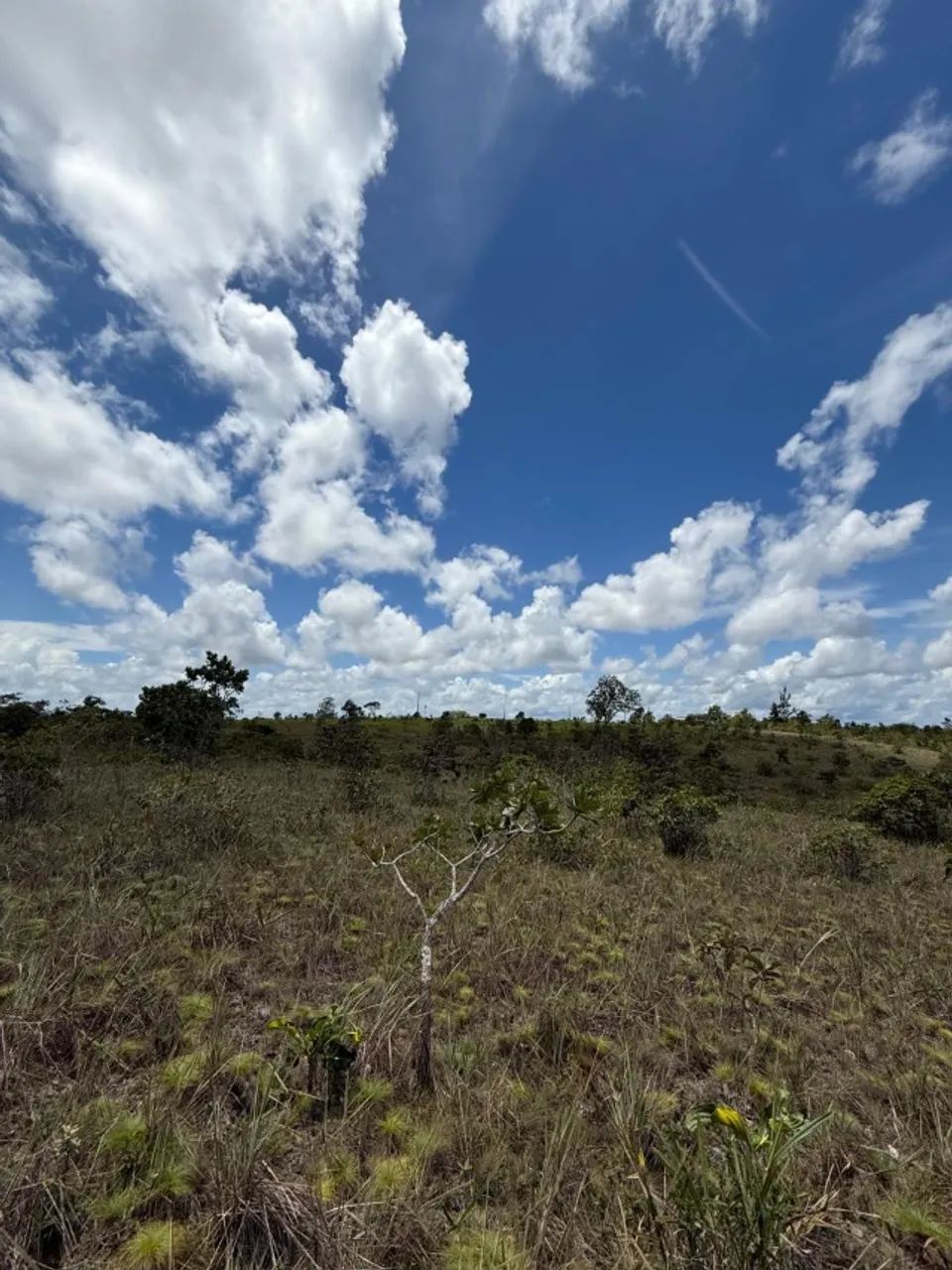 Vendo Sítio á 35 km de Santana na localidade Maçaranduba II - Foto 8