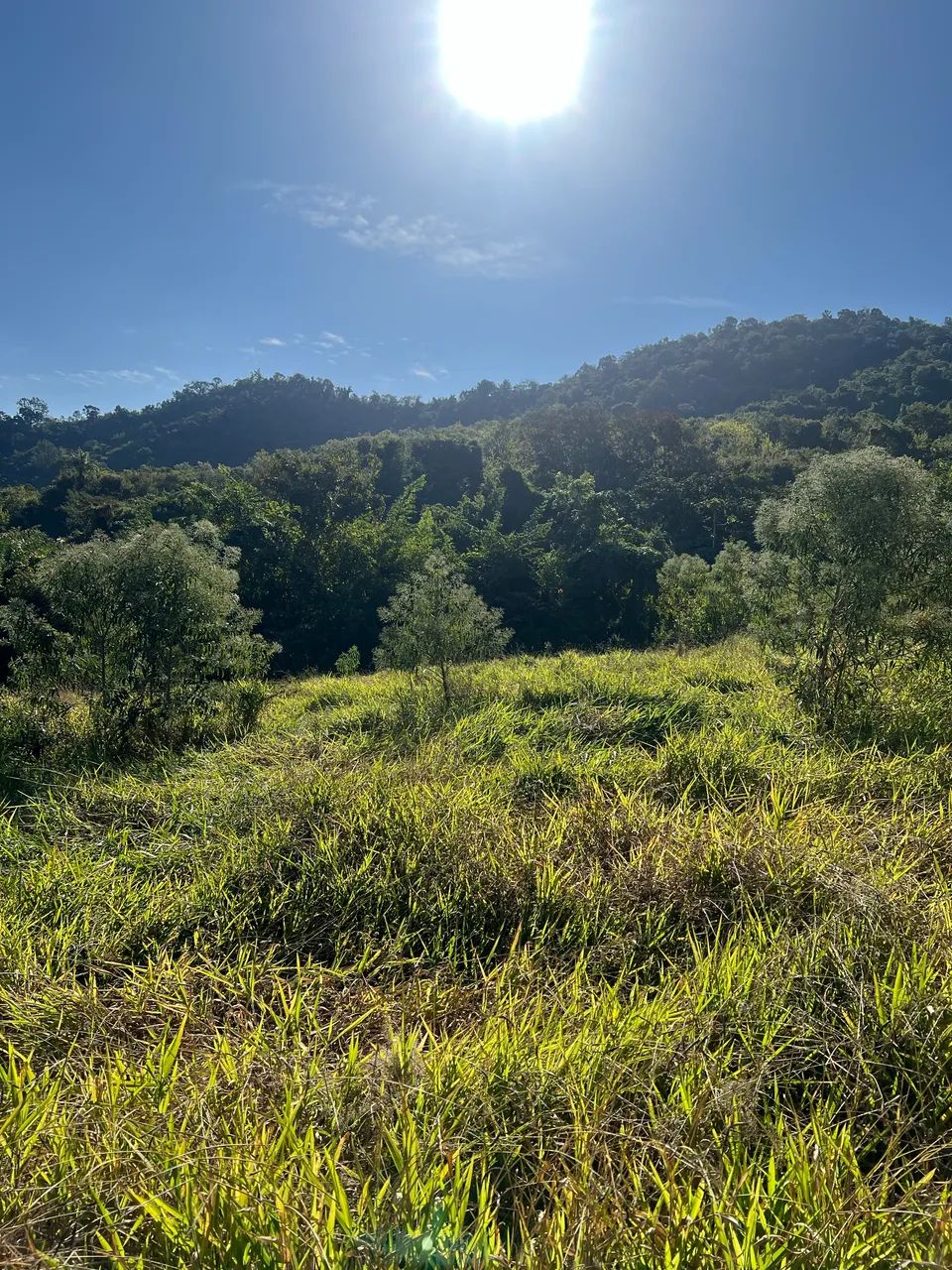 Foto - Itajubá - Avenida