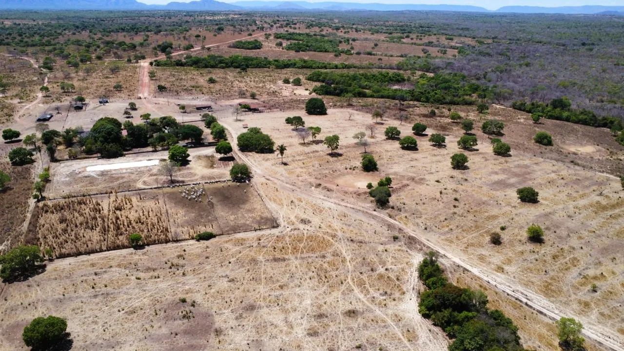 FAZENDA 5.372 HECTARES BAIXO PRA VENDER  - Foto 7