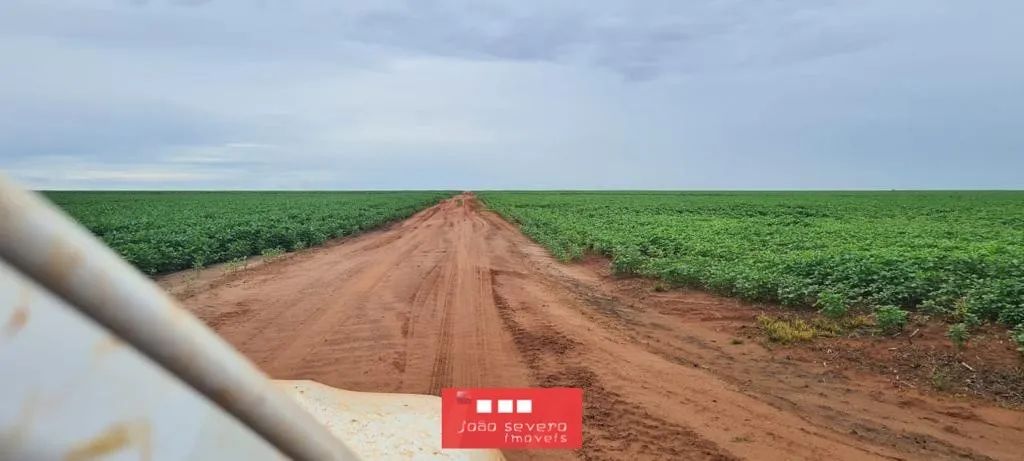 Fazenda para Venda em Nova Ubiratã - Foto 5