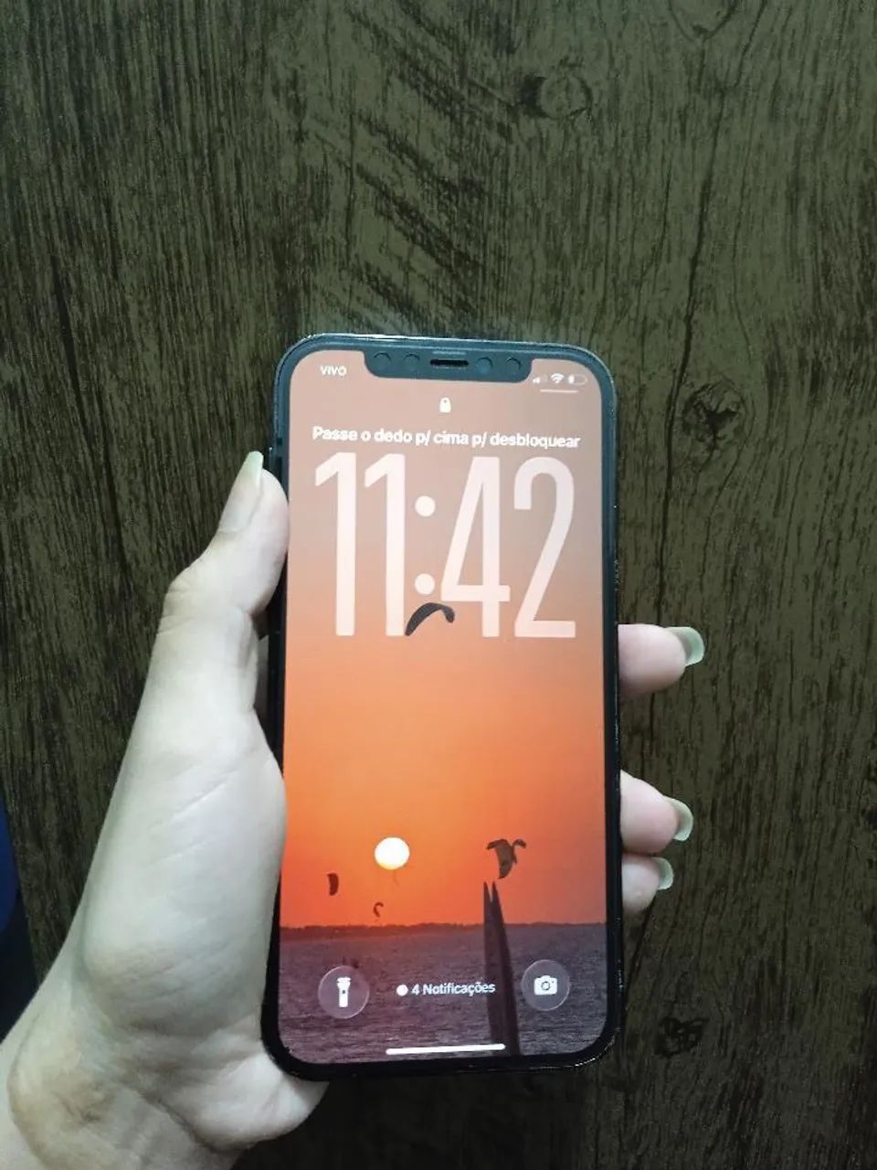 Vendo IPhone 12 Pro 128gb - Celulares e Smartphones - Zoobotânico