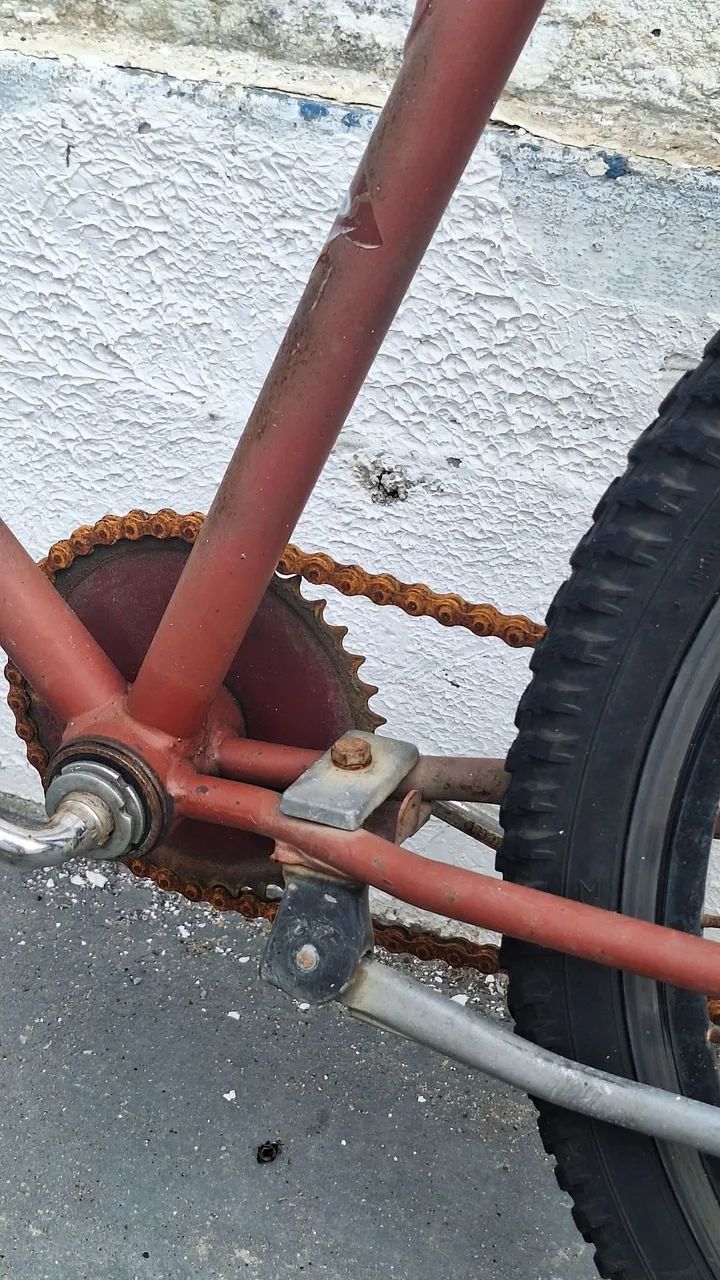 Bicicleta - Foto 5