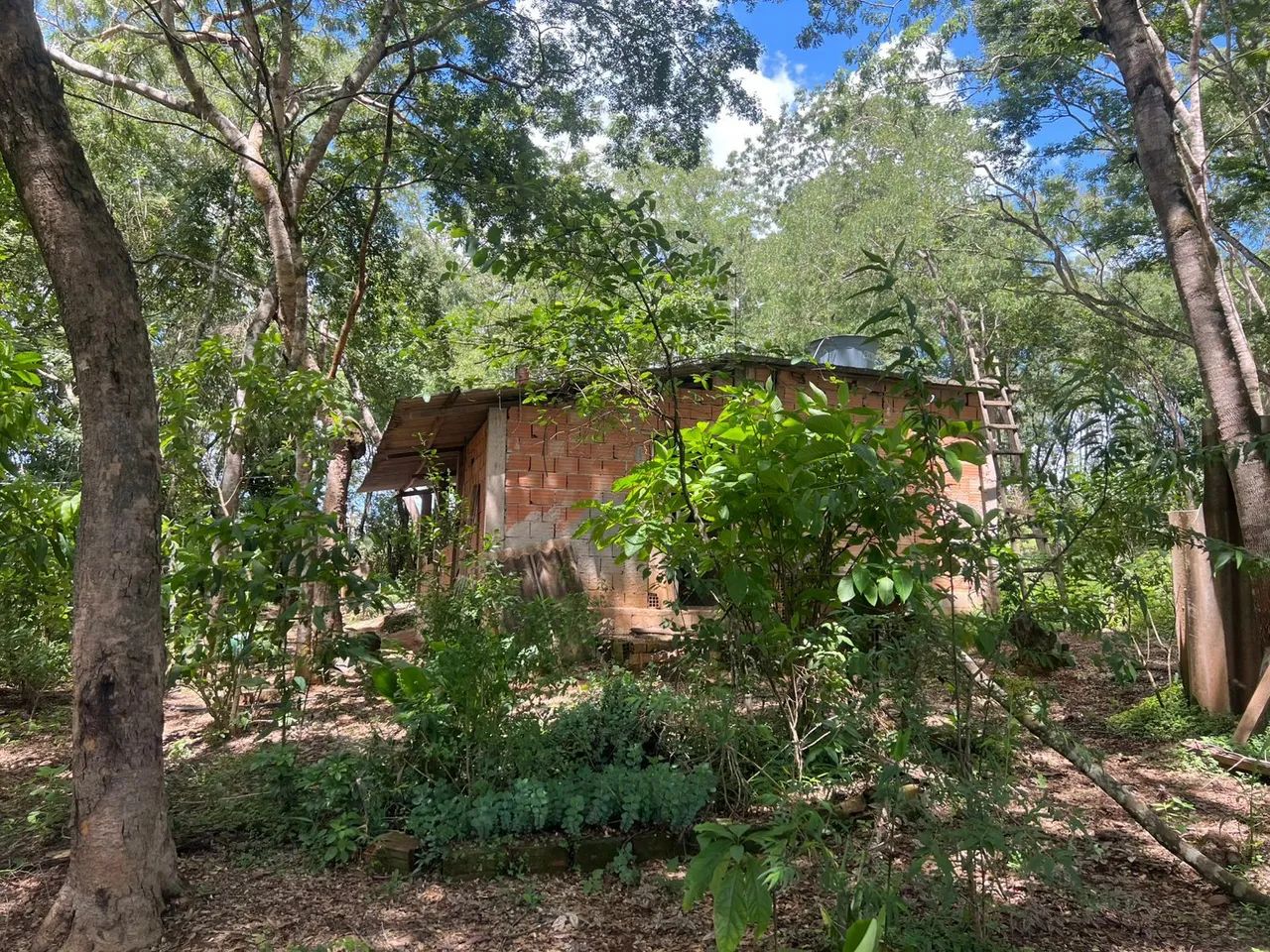 Chácara top em Divinópolis barato - Foto 4