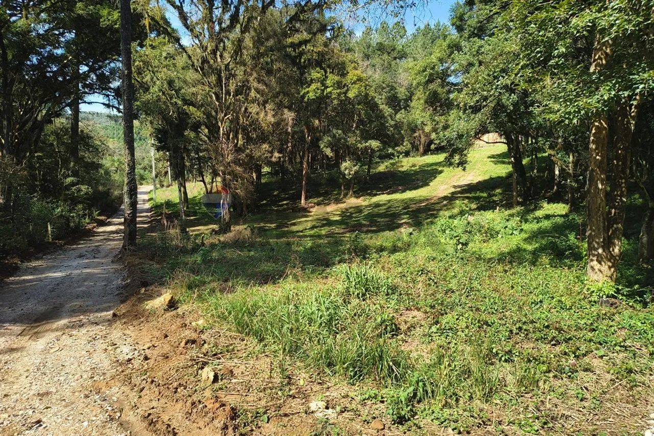 Chacara em Mandirituba - Foto 2