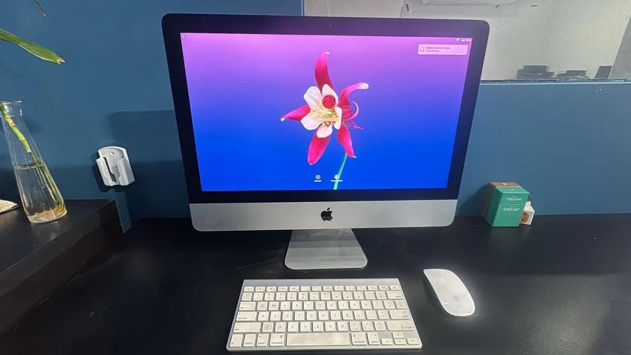 iMac 21,5? - Late 2013 | i5 Quad-Core | 8GB RAM | Funcionando