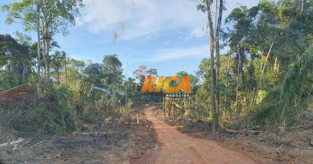 Fazenda para Manejo à venda em Feijó/AC - Foto 5