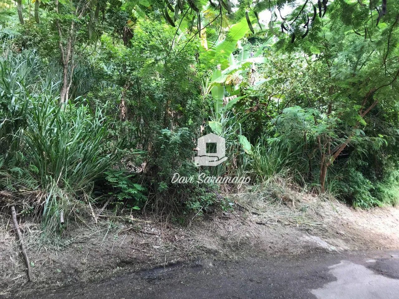 Terreno de 768m² à Venda em Piratininga - Foto 2