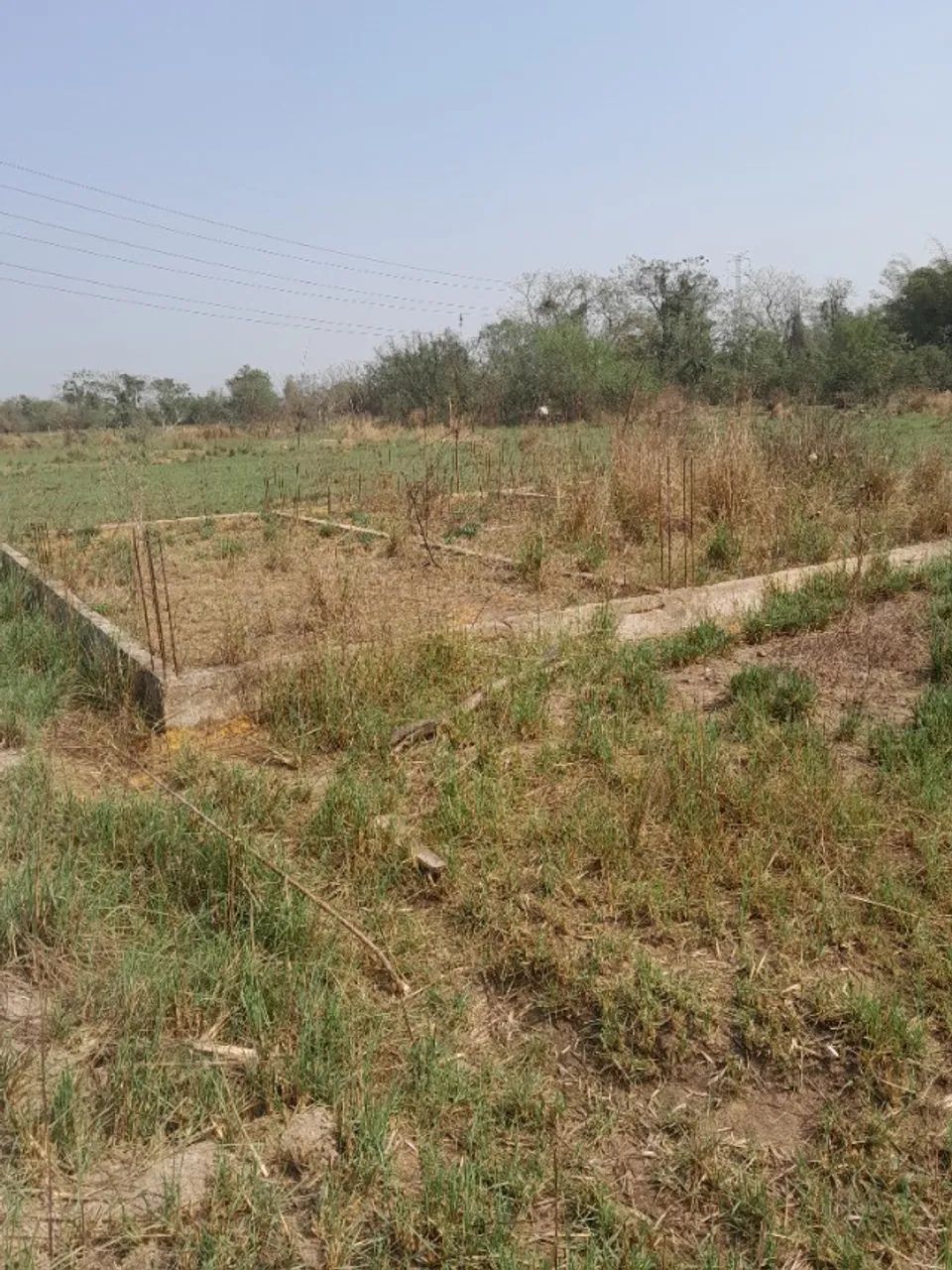 Terreno 12x36m2  com alisceso . - Foto 2