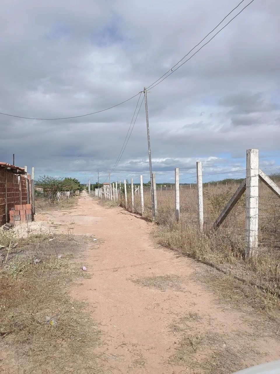 Terreno 