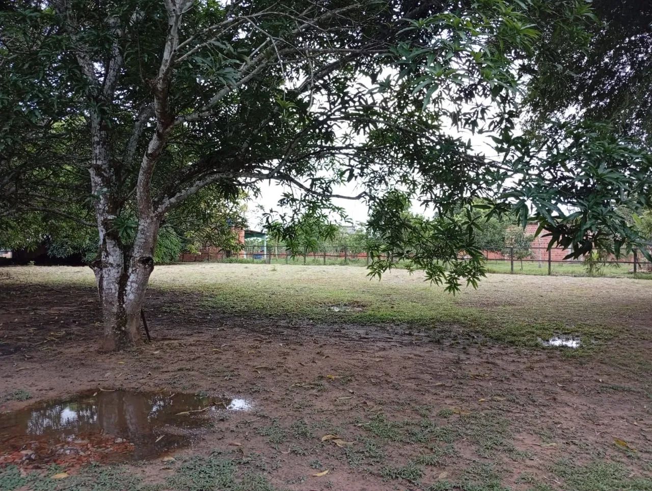 Vendo uma chácara  - Foto 3
