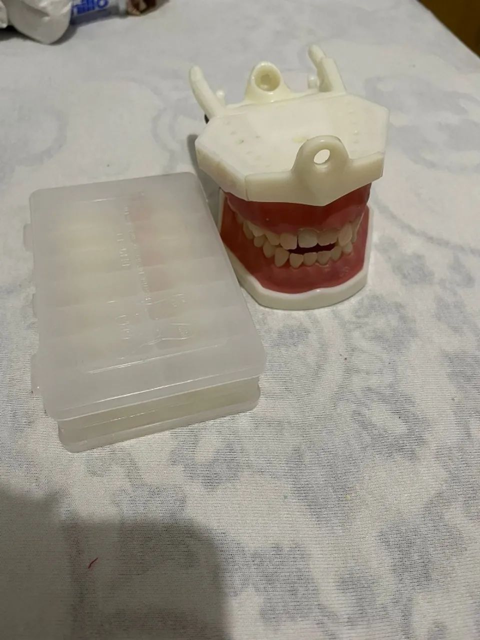 Manequim de dentística - Dent Art  - Foto 3