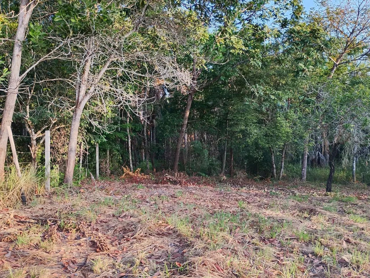 Área +/- 6.000m²  Linda! - Foto 3
