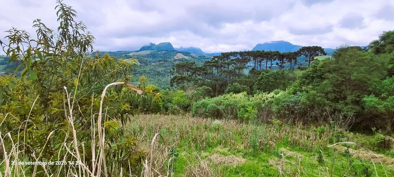 Sítio em Alfredo Wagner- Serra Catarinense-41.000 m² - Foto 4