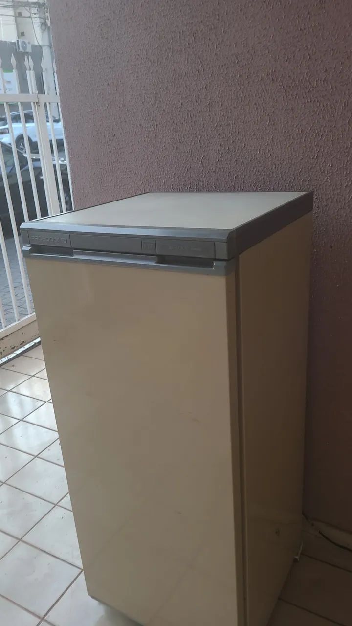 Freezer vertical