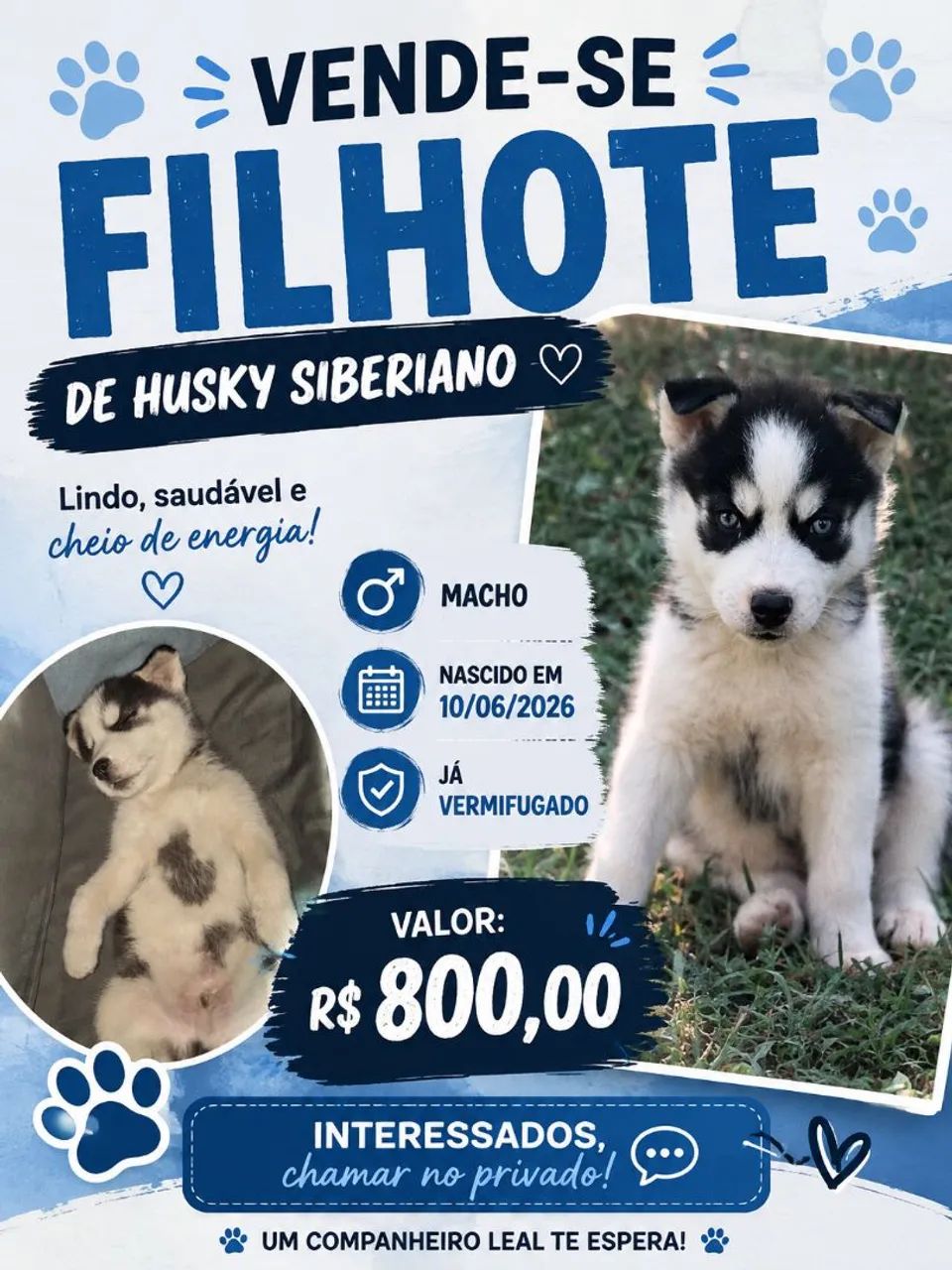 Filhote 