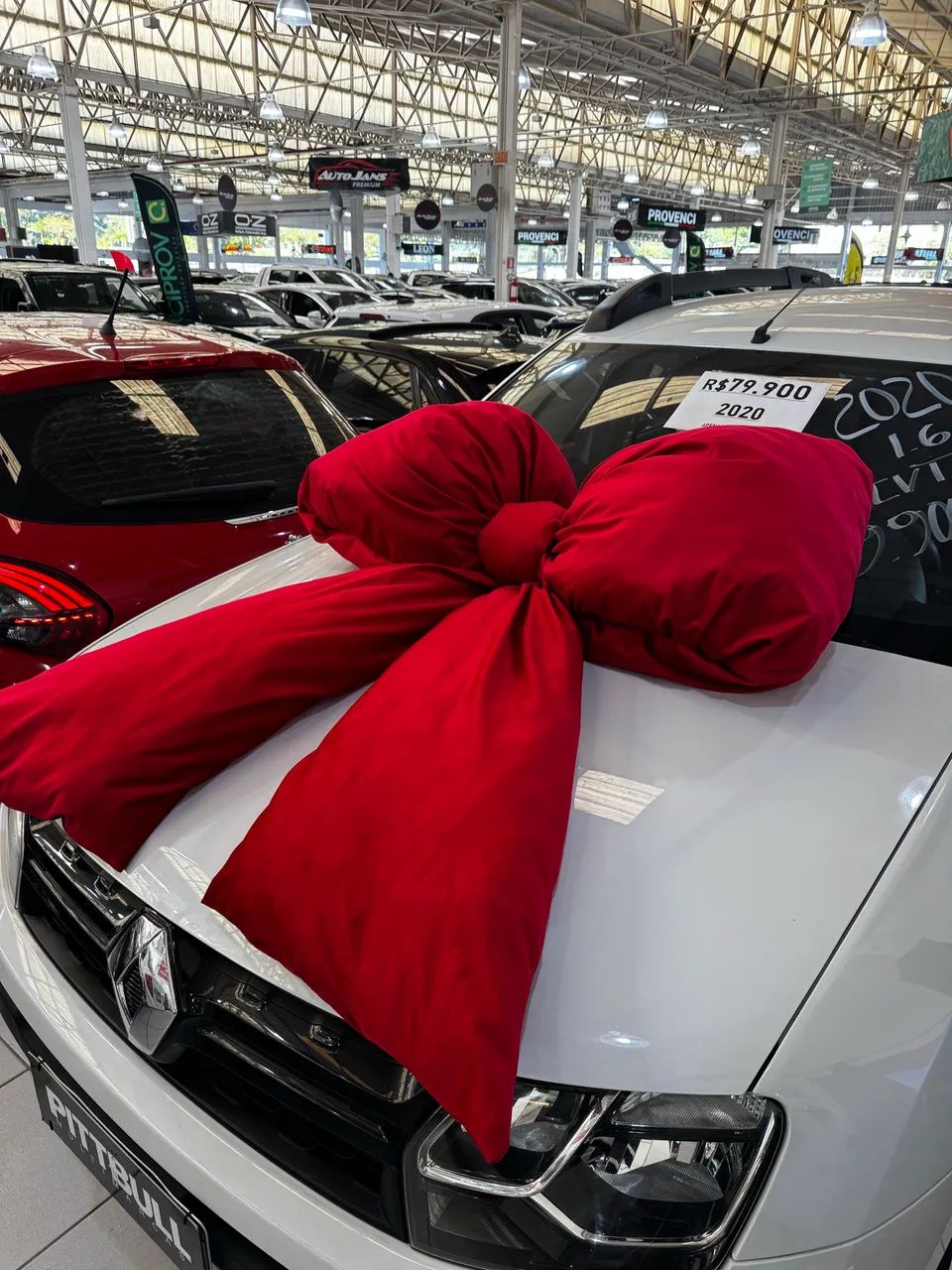 Laço veícular / Laço para carro  - Foto 3