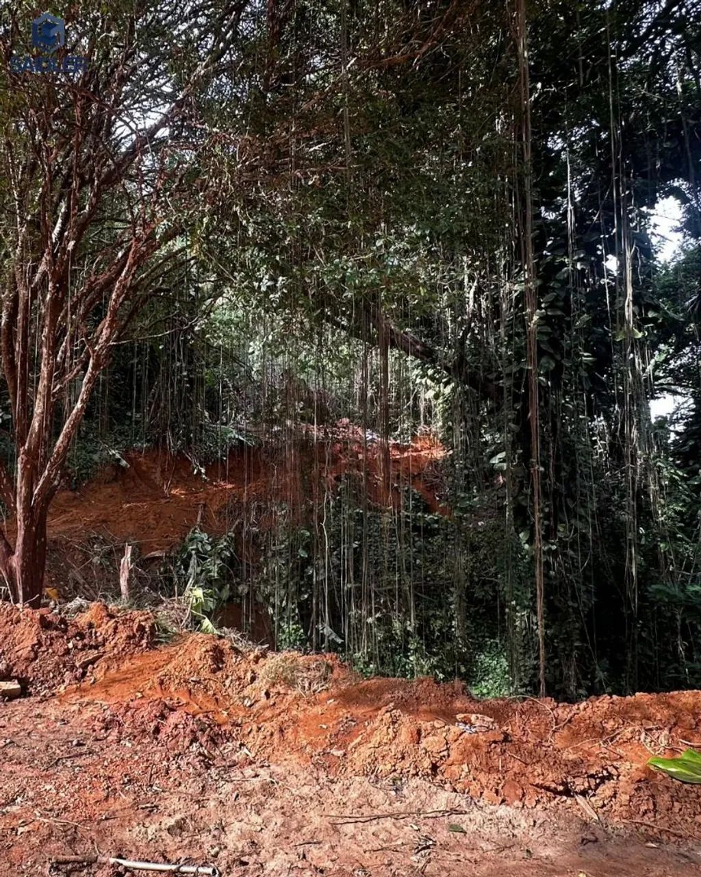 Terrenos em Três Rios RJ, imperdíveis ! - Foto 5