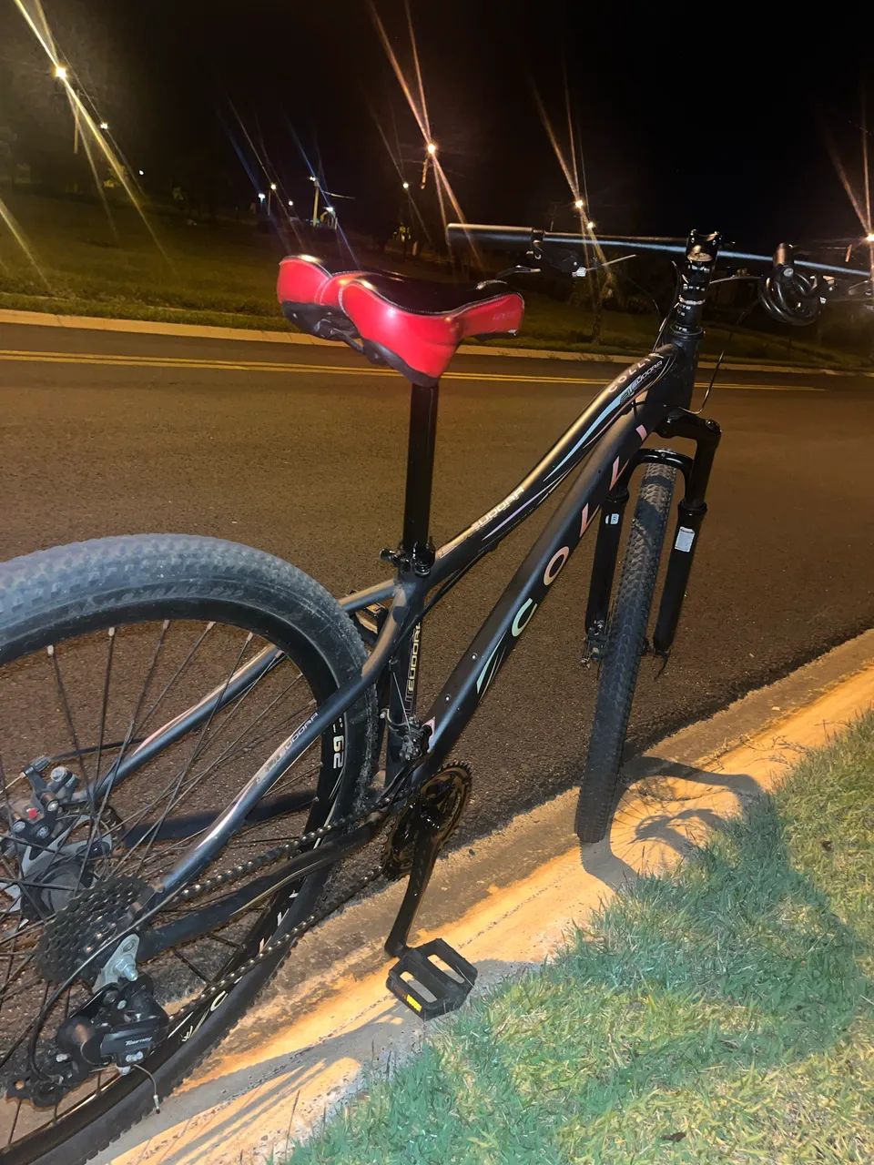 Bicicleta