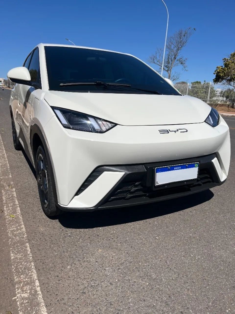 BYD Dolphin Mini (Elétrico) 2024 - Foto 2