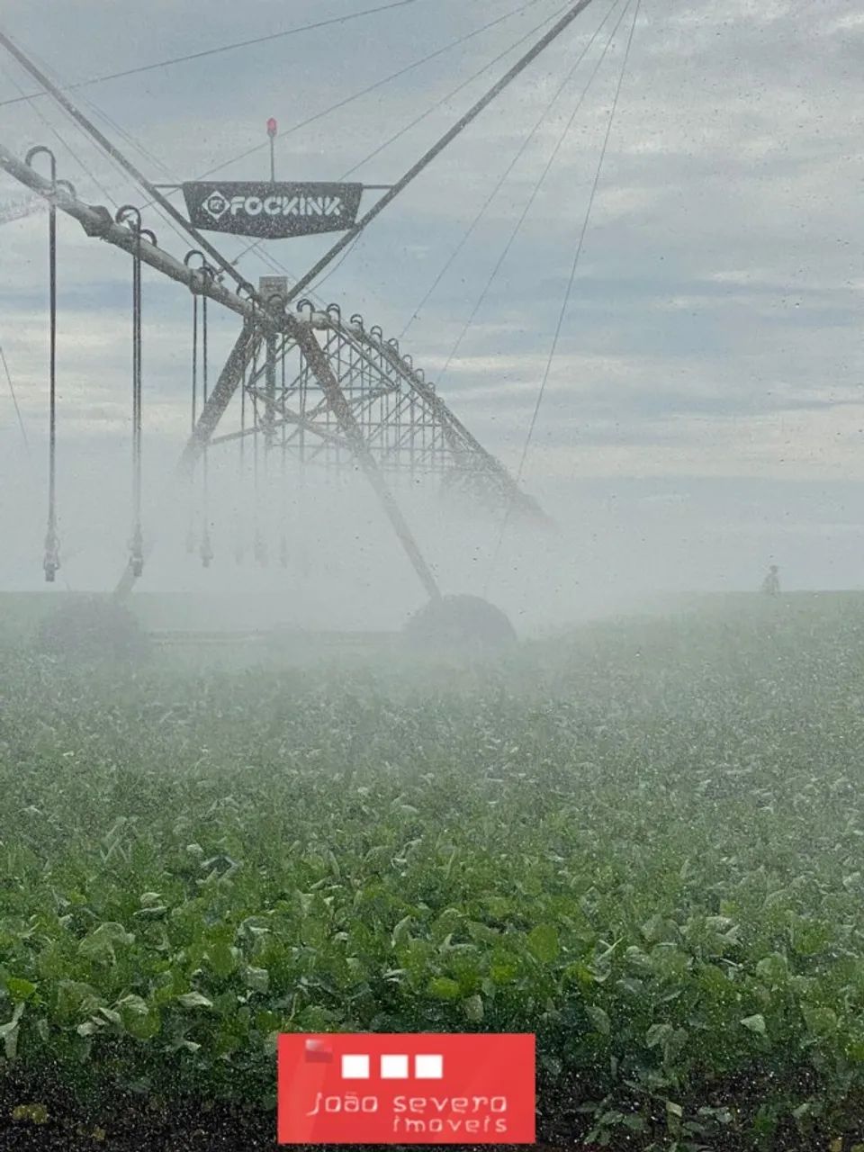Fazenda para Venda em Nova Ubiratã - Foto 3
