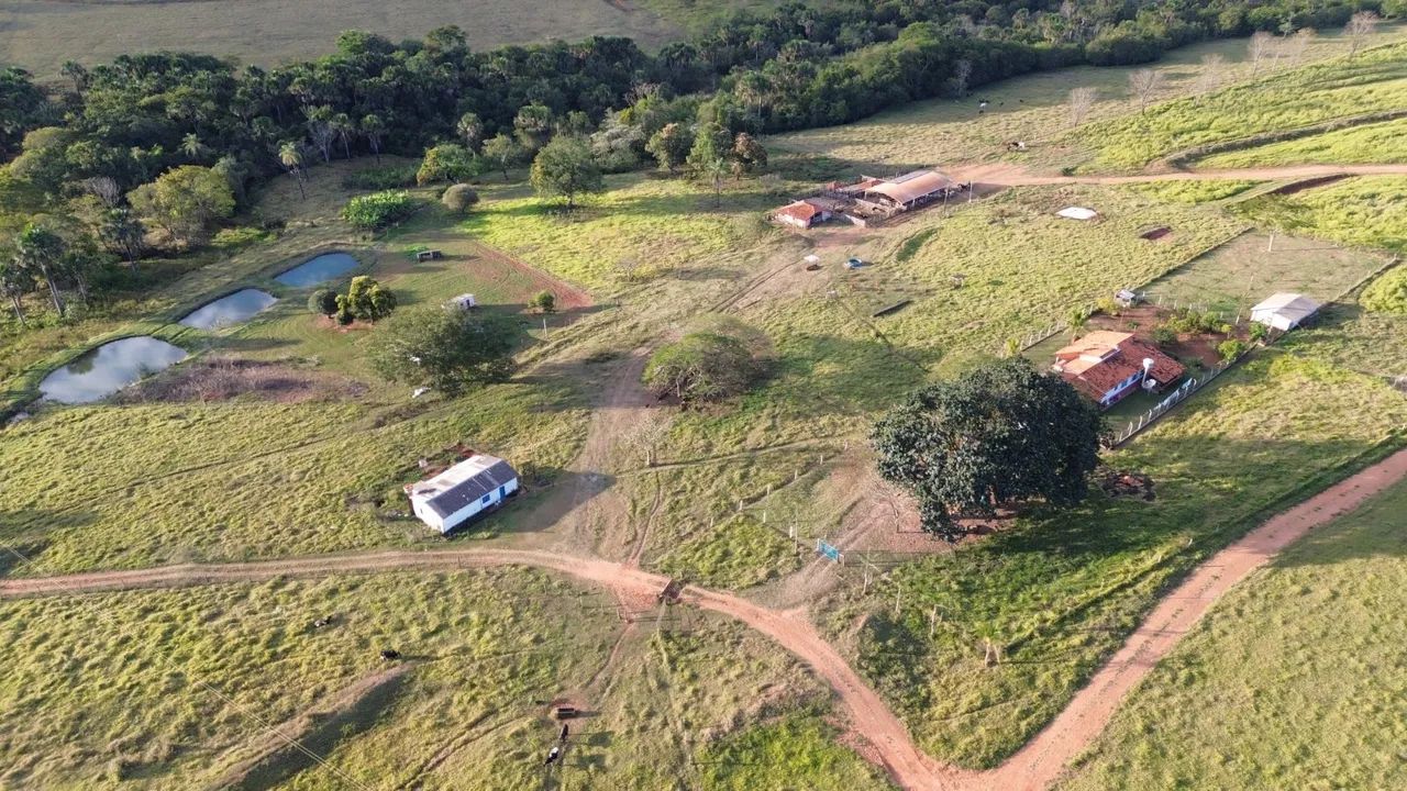 Fazenda na região do prata  - Foto 5