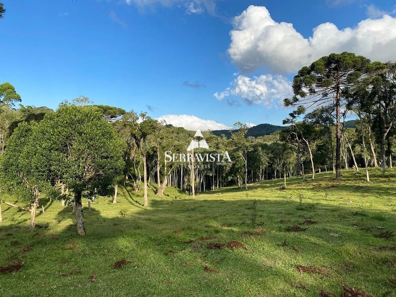 Chácara com pastagem e nascentes - 75.468 m2