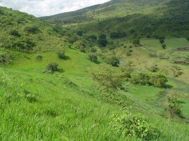 Vale Jiquiriçá-Fazenda - 800 Tarefas, analisa troca p\imóvel em Salvador - Foto 8